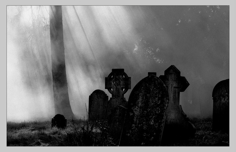 friedhof-south.jpg