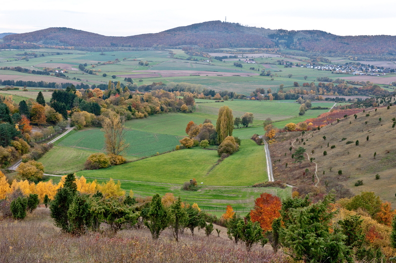 doernberg-2010.jpg