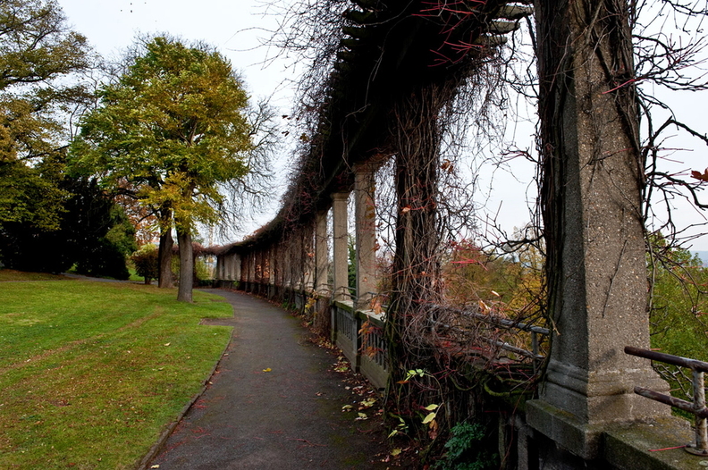 kassel-weinberg-henschelgarten.jpg