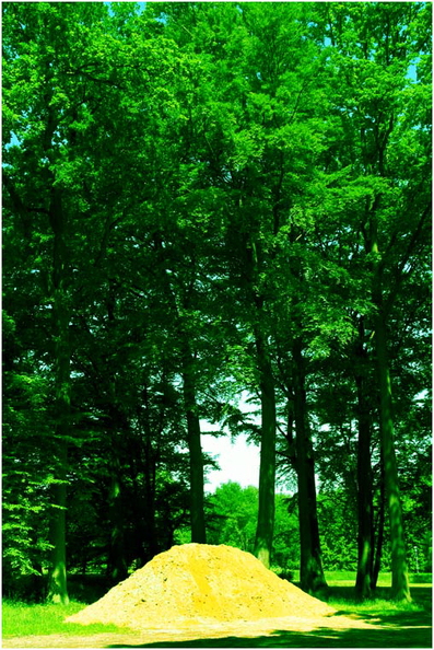 der-sandhaufen-2.jpg