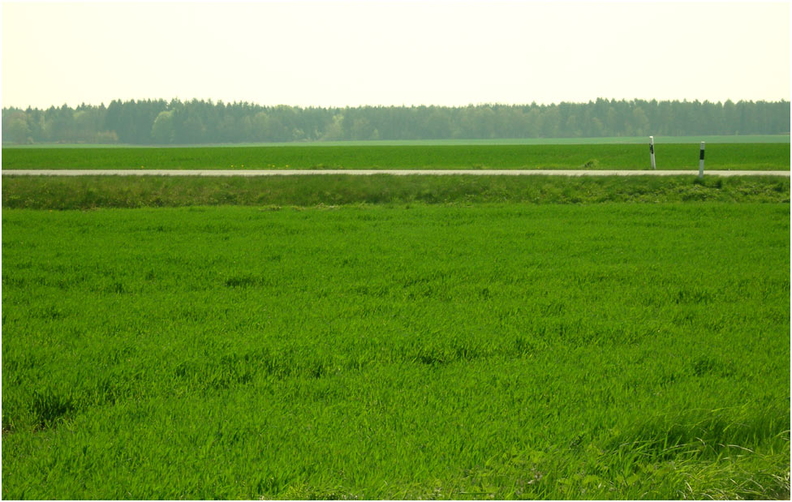 pylonen-2.jpg