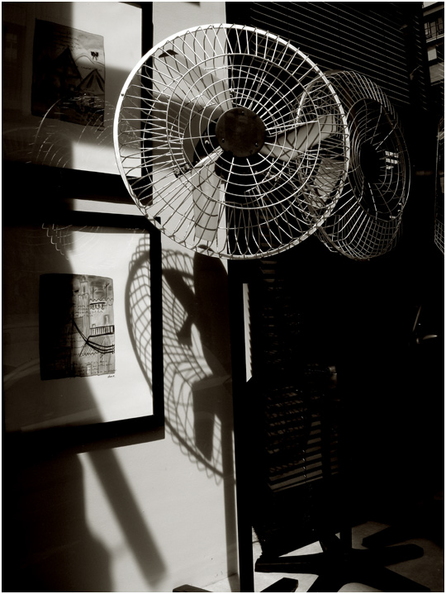 carnaby-2.jpg