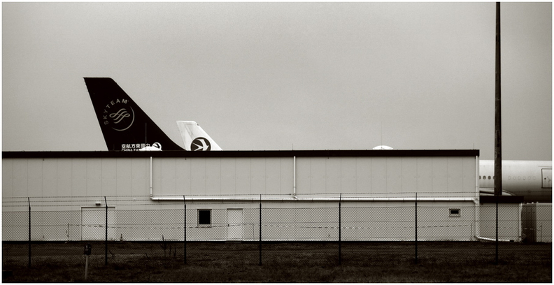 skyteam-2.jpg
