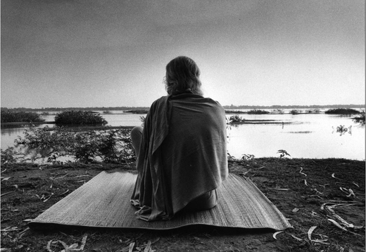 © T. Andreas Hoffmann
