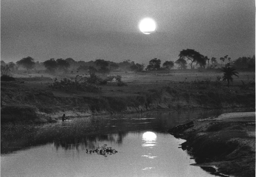 © T. Andreas Hoffmann