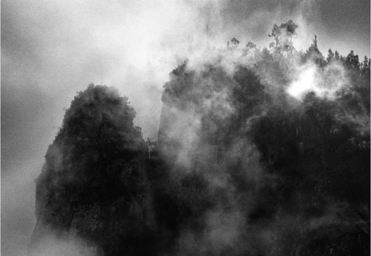 © T. Andreas Hoffmann