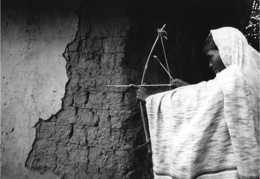 © T. Andreas Hoffmann