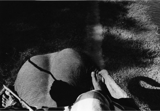 © T. Andreas Hoffmann
