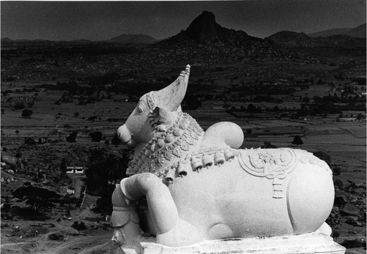 © T. Andreas Hoffmann