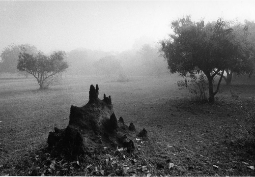 © T. Andreas Hoffmann