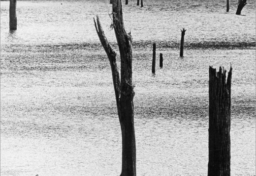 © T. Andreas Hoffmann
