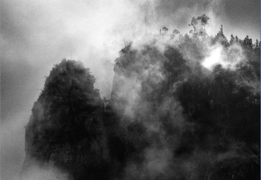 © T. Andreas Hoffmann