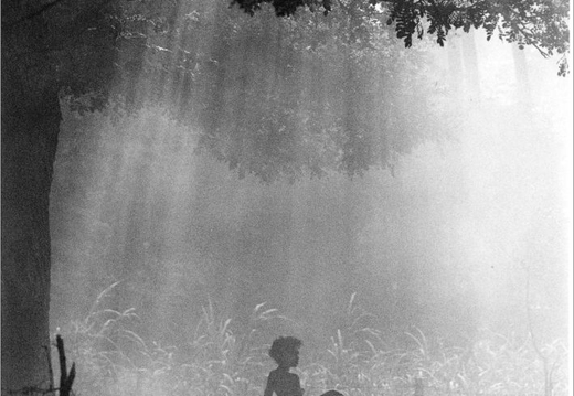 © T. Andreas Hoffmann
