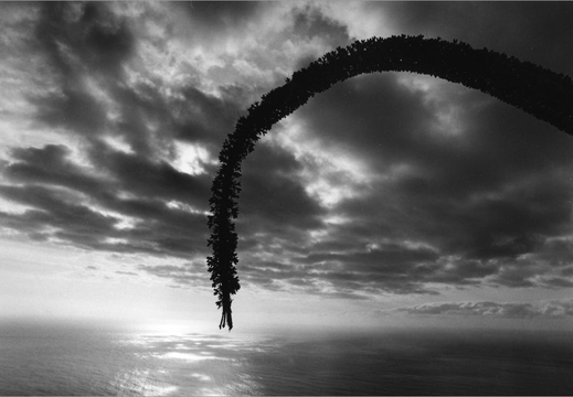 © T. Andreas Hoffmann