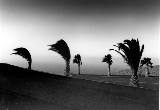© T. Andreas Hoffmann