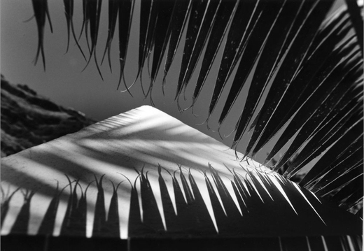 © T. Andreas Hoffmann