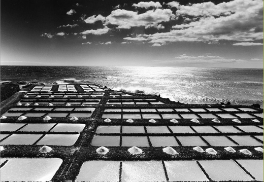 © T. Andreas Hoffmann