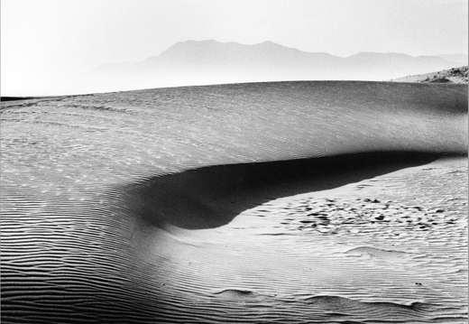 © T. Andreas Hoffmann