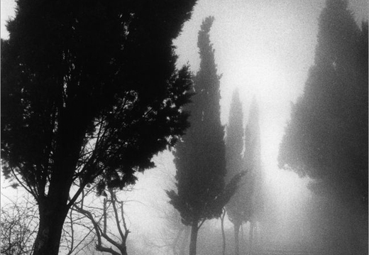© T. Andreas Hoffmann