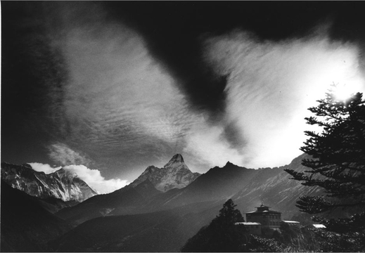 © T. Andreas Hoffmann