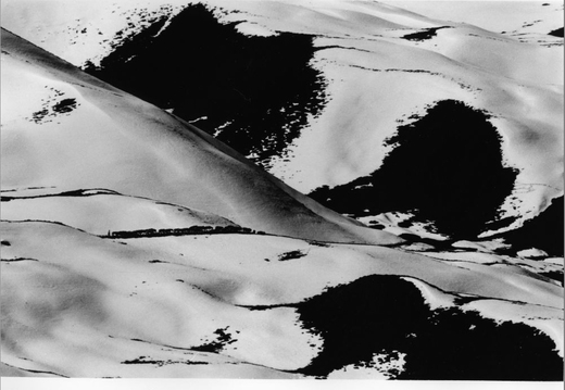 © T. Andreas Hoffmann
