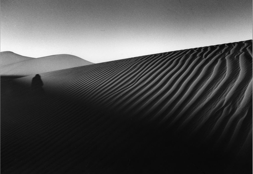 © T. Andreas Hoffmann