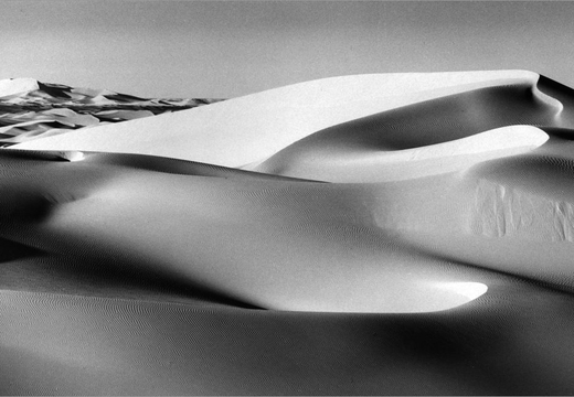 © T. Andreas Hoffmann
