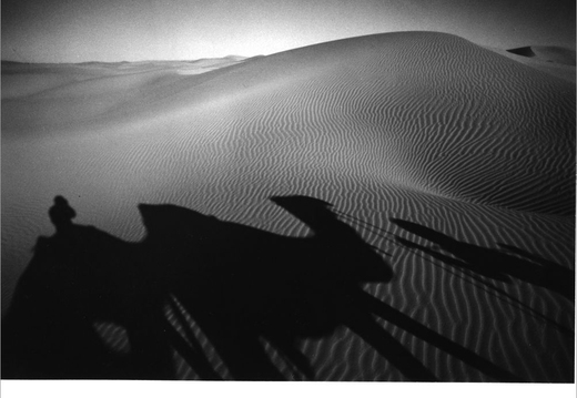 © T. Andreas Hoffmann