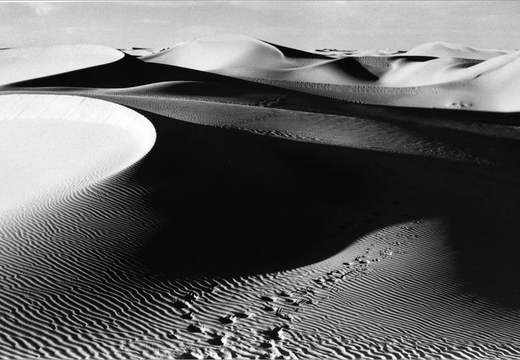 © T. Andreas Hoffmann
