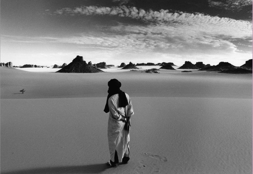 © T. Andreas Hoffmann