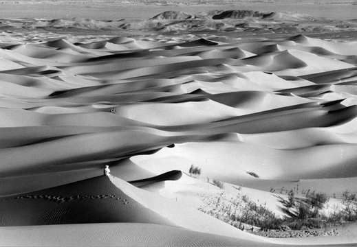 © T. Andreas Hoffmann