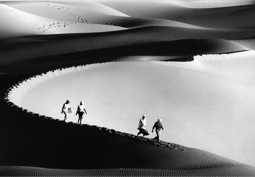 © T. Andreas Hoffmann