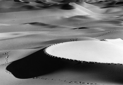 © T. Andreas Hoffmann