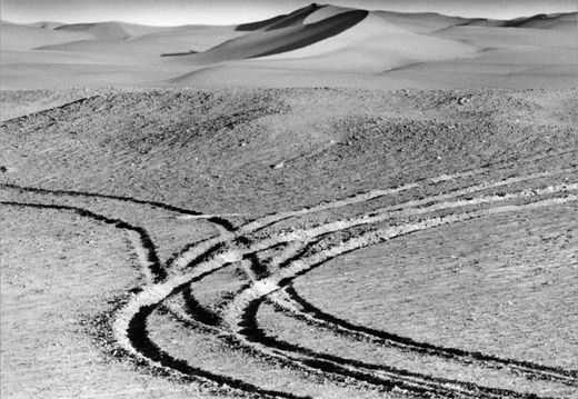 © T. Andreas Hoffmann