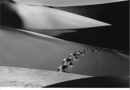 © T. Andreas Hoffmann