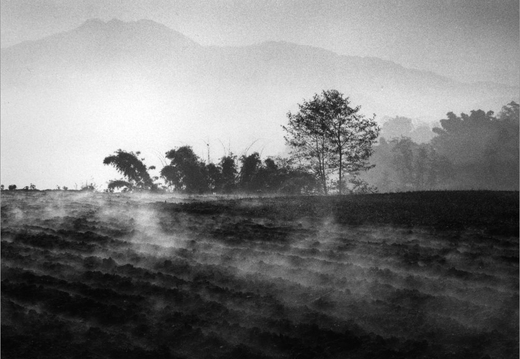 © T. Andreas Hoffmann