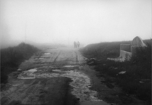 © T. Andreas Hoffmann