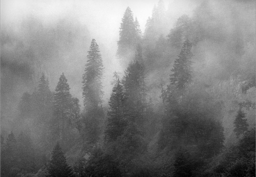 © T. Andreas Hoffmann