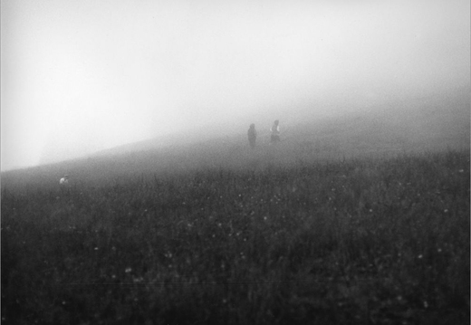 © T. Andreas Hoffmann