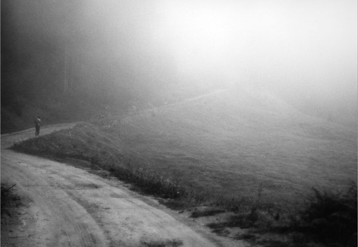 © T. Andreas Hoffmann