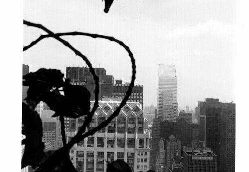 © T. Andreas Hoffmann