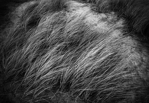 © Ralf Schlieper
