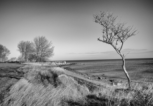 © Ralf Schlieper