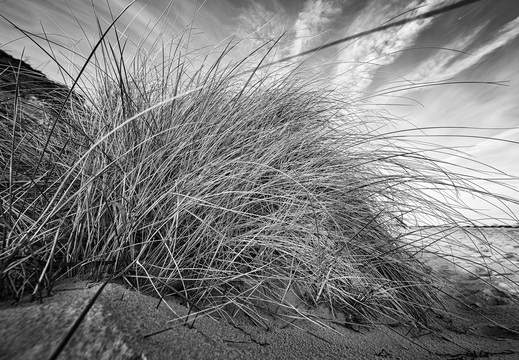 © Ralf Schlieper
