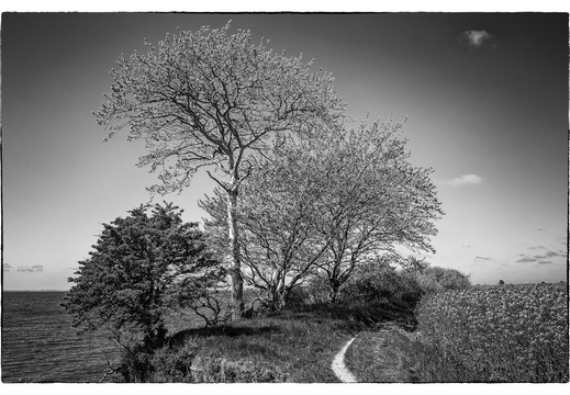 © Ralf Schlieper