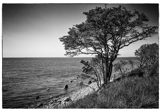 © Ralf Schlieper