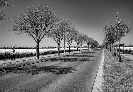 © Ralf Schlieper