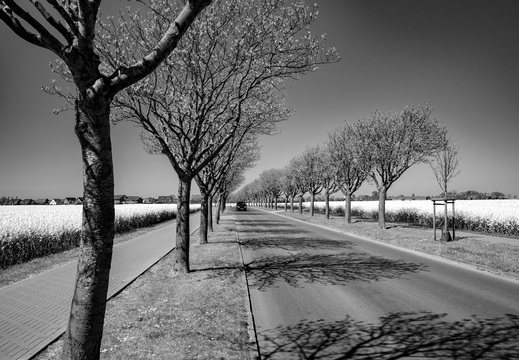© Ralf Schlieper