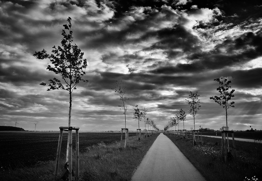 © Ralf Schlieper