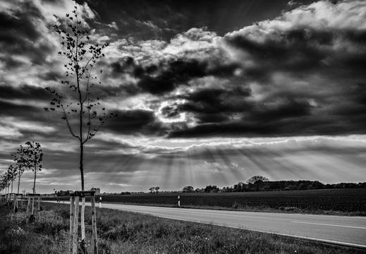 © Ralf Schlieper